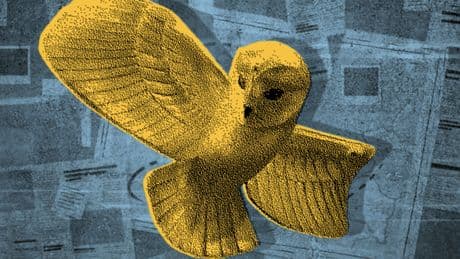 Trésor de la Chouette d’or : l’organisateur annonce l’annulation de la suite et dénonce un « climat délétère »