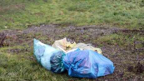 Großer Aufwand und Kosten: Kommunaler Spitzenverband: Mehr Hilfe gegen illegalen Müll