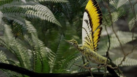 Met pluimen die geen veren zijn gooit dit prehistorische reptiel de evolutie overhoop