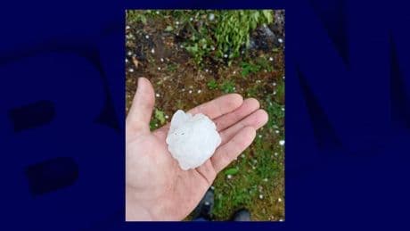 Plus de 19.000 éclairs et des grêlons de 8 cm: les images impressionnantes des orages à travers la France