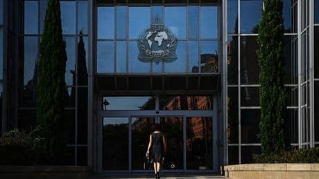 Interpol Arrests 20 Over Network That Distributed Child Sex Abuse Material
