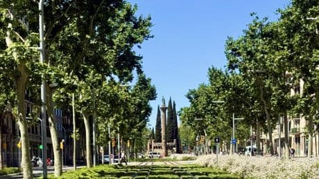 Nuevo tramo del tranvía integrado en la Diagonal