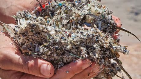 Erfindung aus Hannover - Neues Gel soll Mikroplastik im Meer zerstören