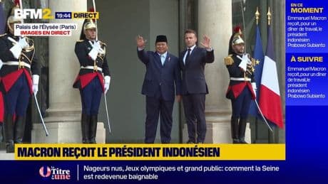 Emmanuel Macron reçoit le président indonésien à l'Élysée