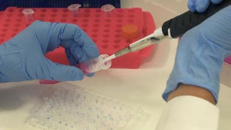 Investigaciones raras