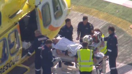 Woman ‘loses arm’ in lion attack at Australian zoo