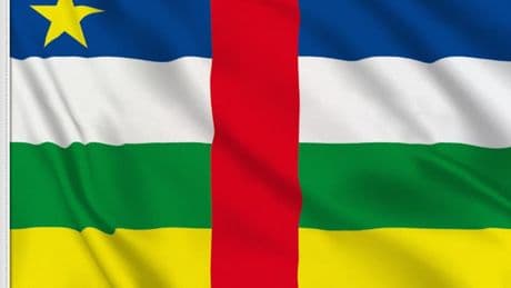 La Centrafrique veut tokeniser 1.700 hectares de terres via le memecoin $CAR