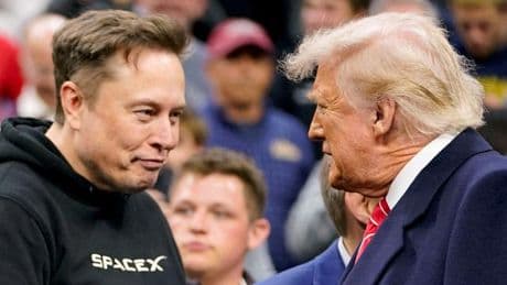 Tesla-Chef: Elon Musk beendet Tätigkeit für die US-Regierung