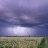 Wetterausblick: Neue Gewitter und Starkregen – Sommer bleibt wechselhaft