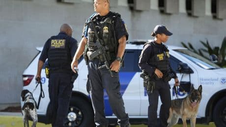 Video shows DHS agents detaining Nadler aide outside of congressional office