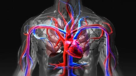 Una mutazione genetica legata alla «morte improvvisa»: la scoperta grazie a una giovane colpita da arresto cardiaco