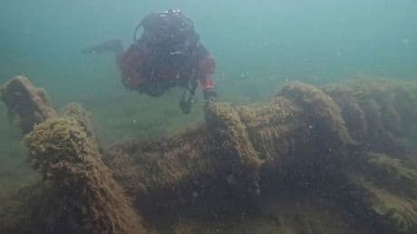 Beim Planen neuer Touren  - Touristenführer findet 158 Jahre altes Schiffswrack