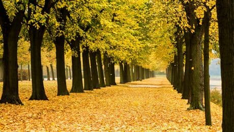 Wetter wird kühler - Kommt jetzt der Goldene Herbst?