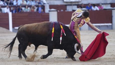 El caro concepto de Samuel Navalón sobre la decepción de los toros de Mayalde en Las Ventas