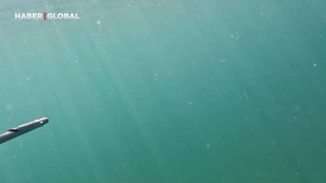 Marmara Denizi’nde su altında ilk kez görüntülendi!