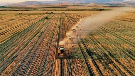 Tarımsal girdi fiyat endeksi şubatta arttı
