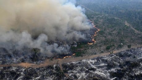 Brésil: hausse de la déforestation en Amazonie due à la recrudescence des incendies