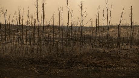 'Hear how it's roaring?': Men of Weyakwin make a stubborn stand against Saskatchewan wildfires