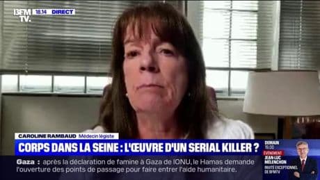 Corps retrouvés dans la Seine: "la difficulté c'est que les articulations deviennent laxes", explique une médecin légiste