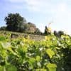 Auf dem Klausberg: Königliches Weinfest mit Potsdamer Schaumwein