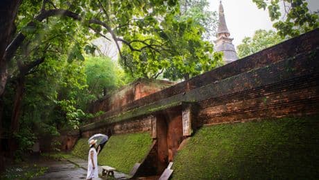 From Chiang Mai to Krabi: Discover Thailand’s Top 10 Green Cities