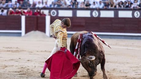 Puerta Grande para Jandilla, la corrida de la feria: Borja Jiménez y Sebastián Castella se quedan en el umbral en Las Ventas