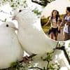 The simple 'bird test' which you can try at home which could determine whether your relationship will last or not