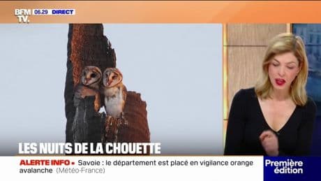 Les nuits de la chouette: deux œufs supplémentaire ce vendredi