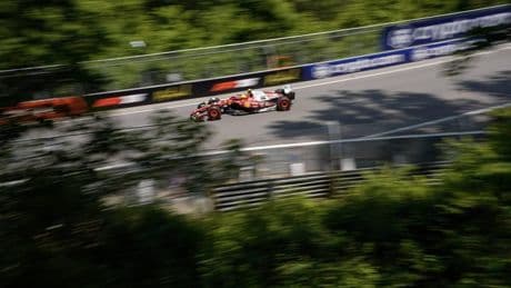 Hamilton treurt om overreden bosmarmot in GP Canada