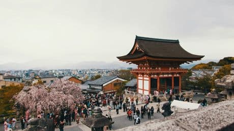 Japón está saturándose por las hordas de turistas extranjeros. Así que en el país han empezado a regalarles vuelos gratis