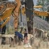 Les travaux reprennent sur le chantier de l’A69 sous surveillance policière