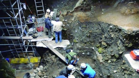 Hallan en Atapuerca la evidencia más antigua de fauna glacial en la península ibérica