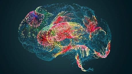 Medizintechnik: Antwort auf Neuralink: Erster Gehirnchip aus Deutschland erfolgreich implantiert