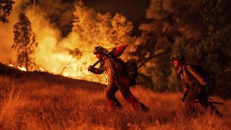 Incendio en California, hambre y sed en Gaza y más imágenes del día