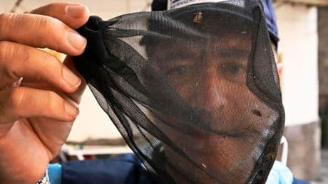 West Nile: 32 casi confermati, come cambia la mappa dei contagi