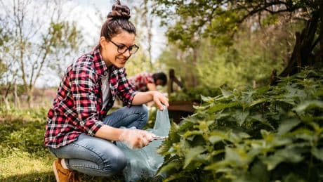 Von wegen Unkraut - So wird Brennnessel Heilmittel und Garten-Helfer