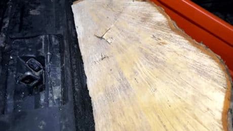 Massive wedge of Sycamore Gap tree ‘kept as trophy by 2 pals who chopped it down with chainsaw in dead of night’
