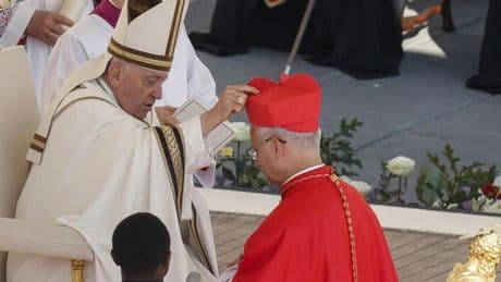 Vaticanistas