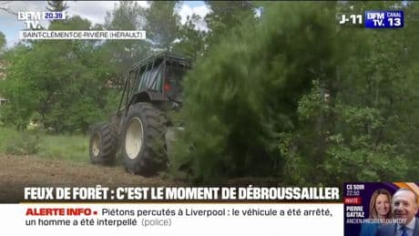 À l'approche de l'été, l'heure est au débroussaillement pour prévenir les feux de forêt