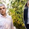 PETER HITCHENS: How the OSTRICH class are ruining Britain. These self-regarding rule makers dictate your life then bury their heads in the sand... and YOU are paying