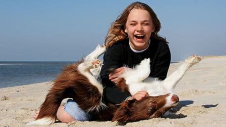 Tipps vom Experten: Martin Rütter erklärt, warum man mit seinem Hund herumalbern sollte