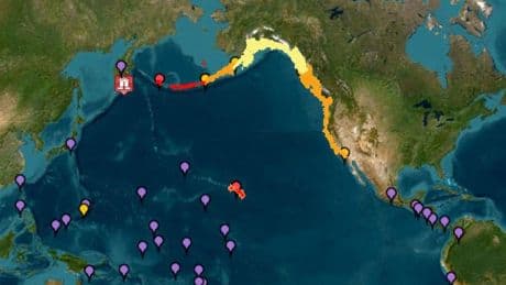 Tsunami warnings for US, Japan and Pacific after massive earthquake