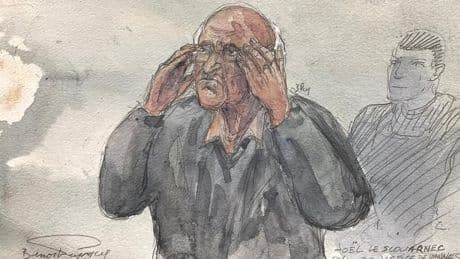Procès Le Scouarnec: avant le verdict, l'ex-chirurgien pédocriminel assume sa culpabilité