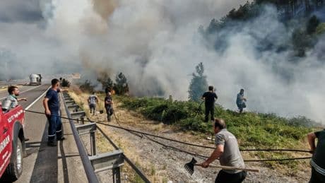 Bolu'da orman yangını: Karayolu ulaşıma kapatıldı