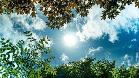 US-Forscher speichern Sonnenlicht als Flüssigkeit: Das hat zwei große Vorteile