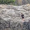 'Cruel' angler 'tries to hook wild seal' at Devon beauty spot