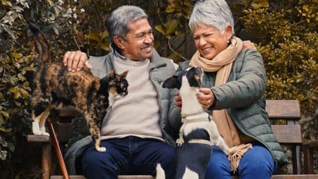 Dogs And Cats Slow Cognitive Decline In Older Adults, Study Finds