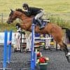 British showjumper, 60, dies in hospital after horror fall from his horse earlier this month