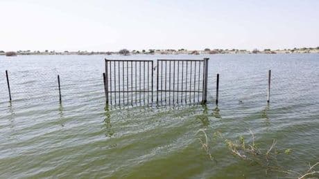 Les riverains du lac Tchad pris en étau entre Boko Haram et la montée des eaux