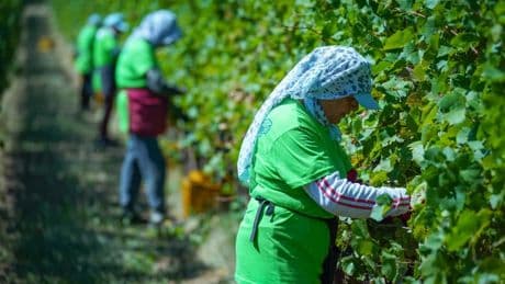 Italiens Arbeitsmarkt bleibt flexibel